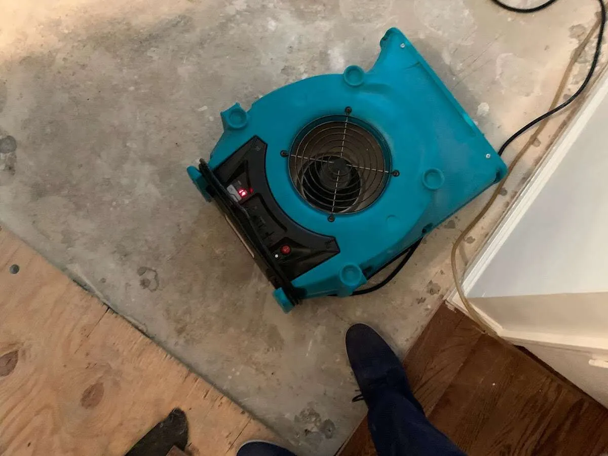 Air mover drying subfloor during Commercial Water Damage Restoration in Veneta